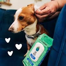 ايرثباث مناديل مبللة للأذن بالبابونج